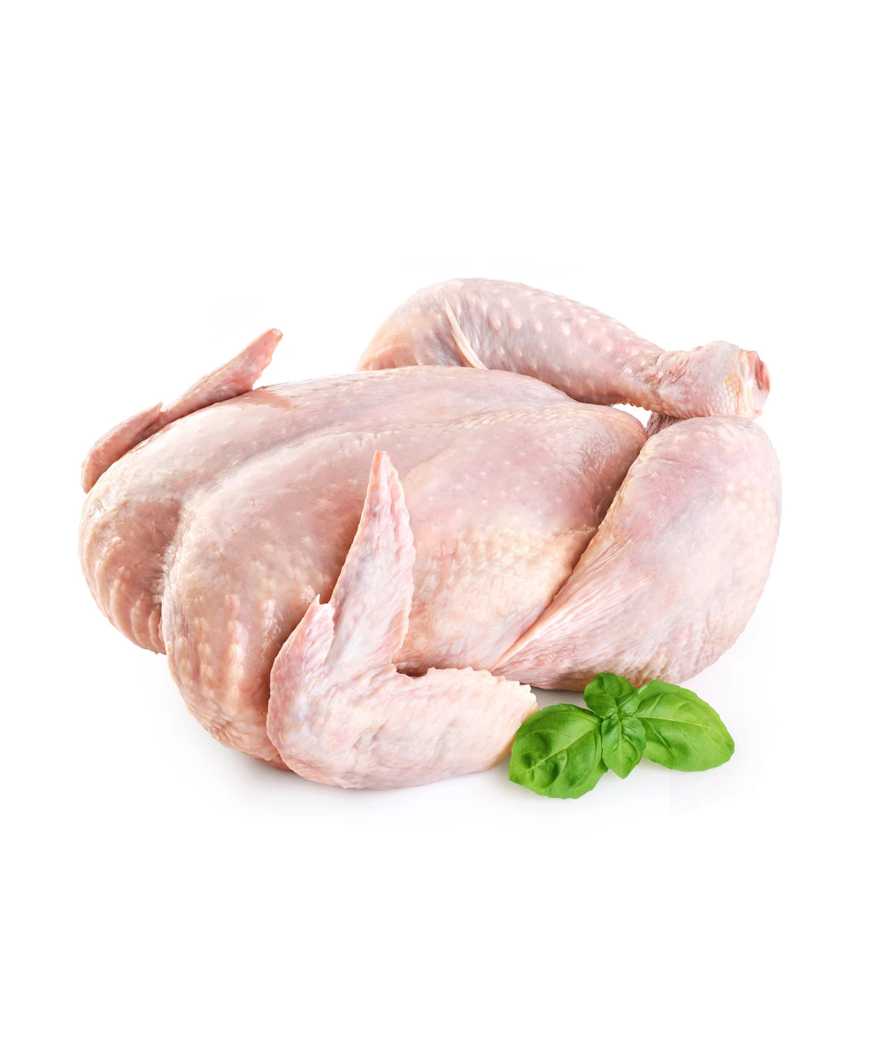 CHICKEN